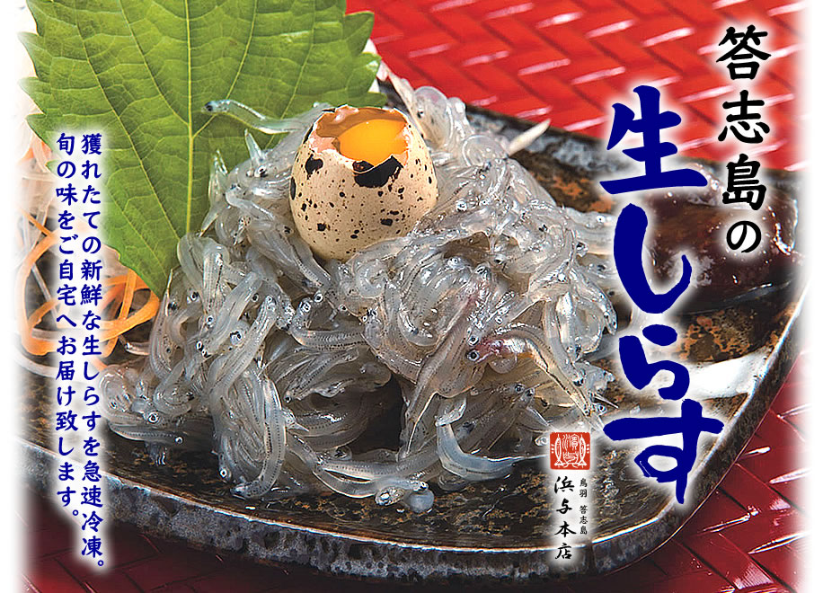 生しらすは答志島浜与本店へ