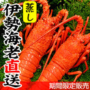 蒸し伊勢えび（2尾）[冷凍]